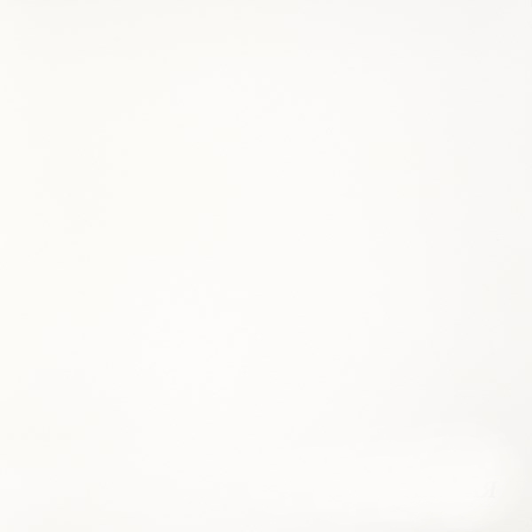 Керамогранит "Грани Таганая" Feeria (600*600 мм) Белый GTF400 — купить в Костроме