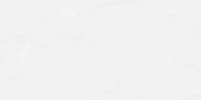 Керамогранит "Wan Sheng" Glazed (1200*600 мм) Серый D12617 — купить в Костроме