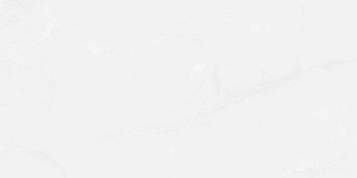 Керамогранит "Wan Sheng" Glazed (1200*600 мм) Серый D12617 — купить в Костроме