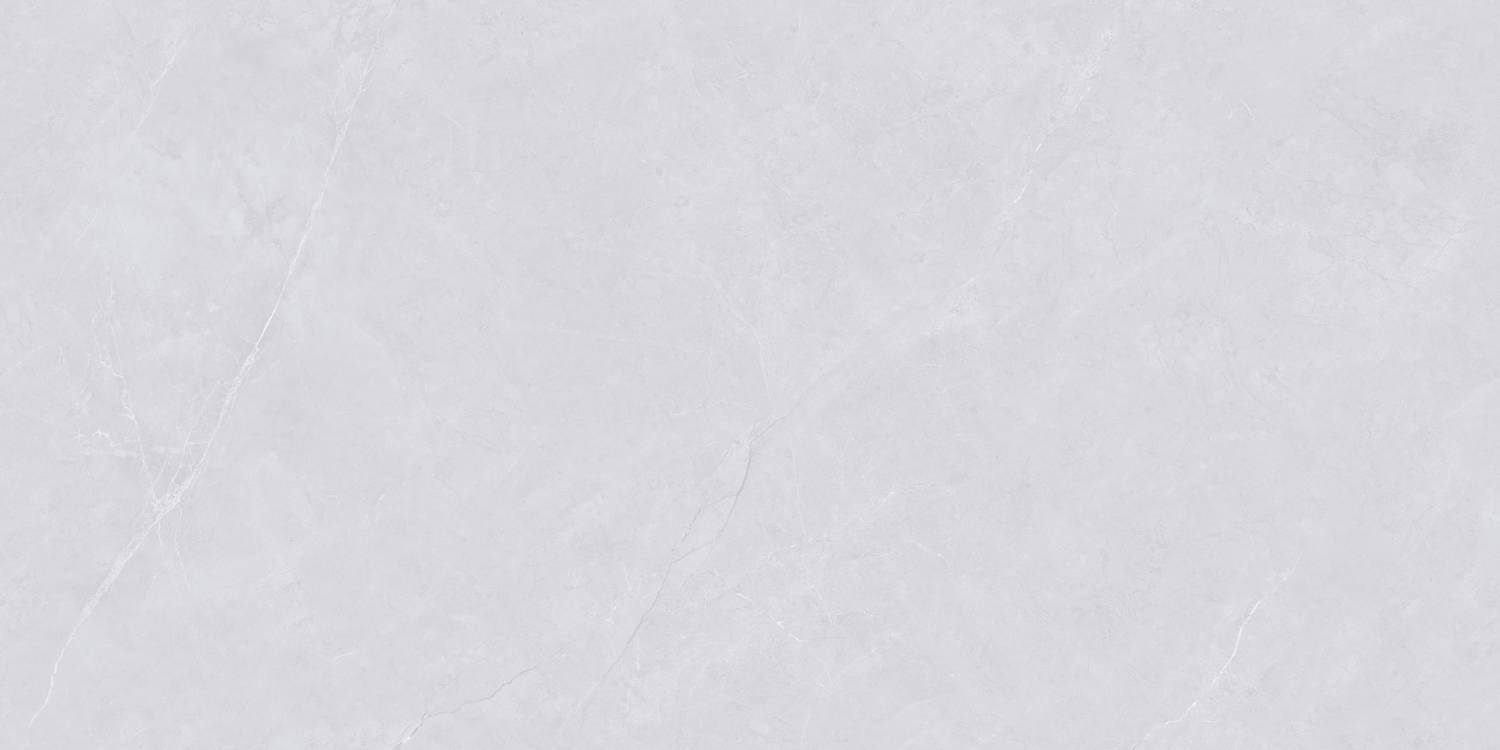 Керамогранит "Wan Sheng" Glazed (1200*600 мм) Серый D12620 — купить в Костроме