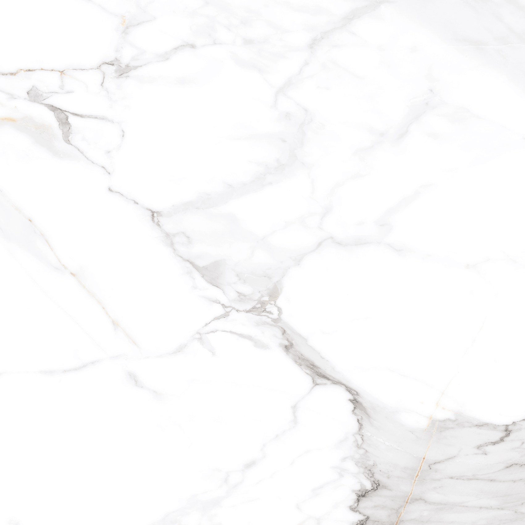 Керамогранит "Eternal" Calacatta (600*600 мм) Белый — купить в Костроме