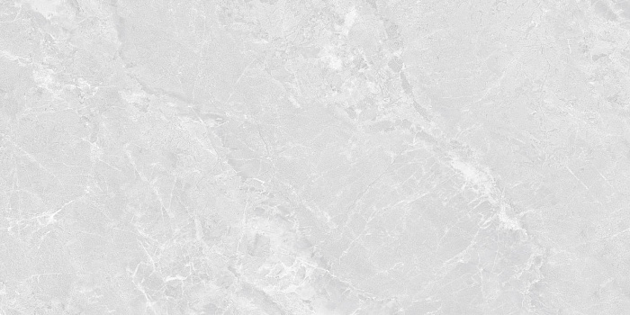 Керамогранит "Wan Sheng" Butterfly (1200*600 мм) Серый — купить в Костроме